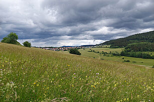 Artenreiche Wiese in den Höhenlagen am Rande der Schwäbischen Alb ©Friedrich/LAZBW